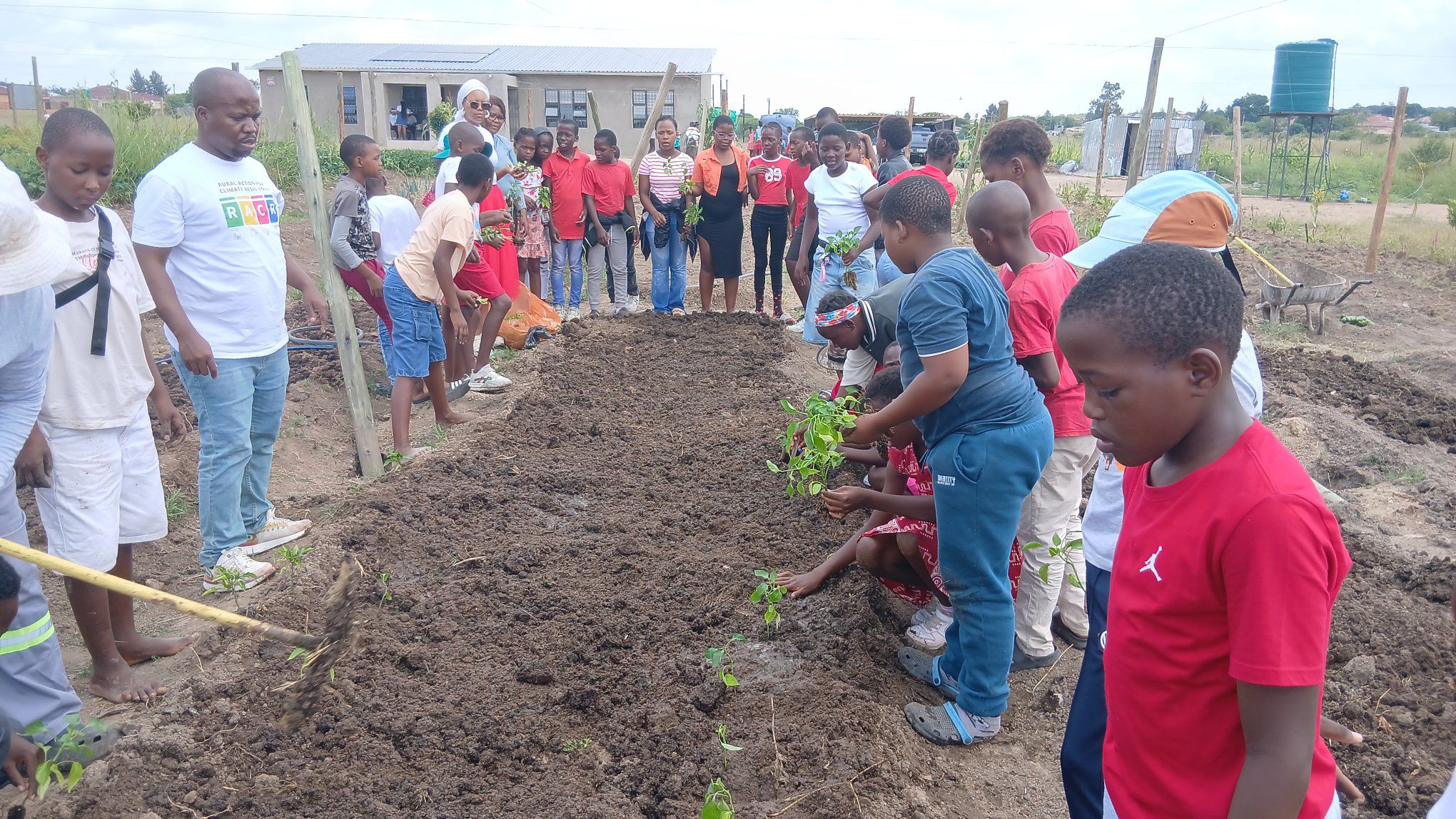 Gallery Image 8